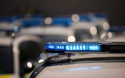 The Importance of Professional Event Security: Insights from American Guards Security